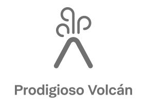 Logotipo de Prodigioso Volcán